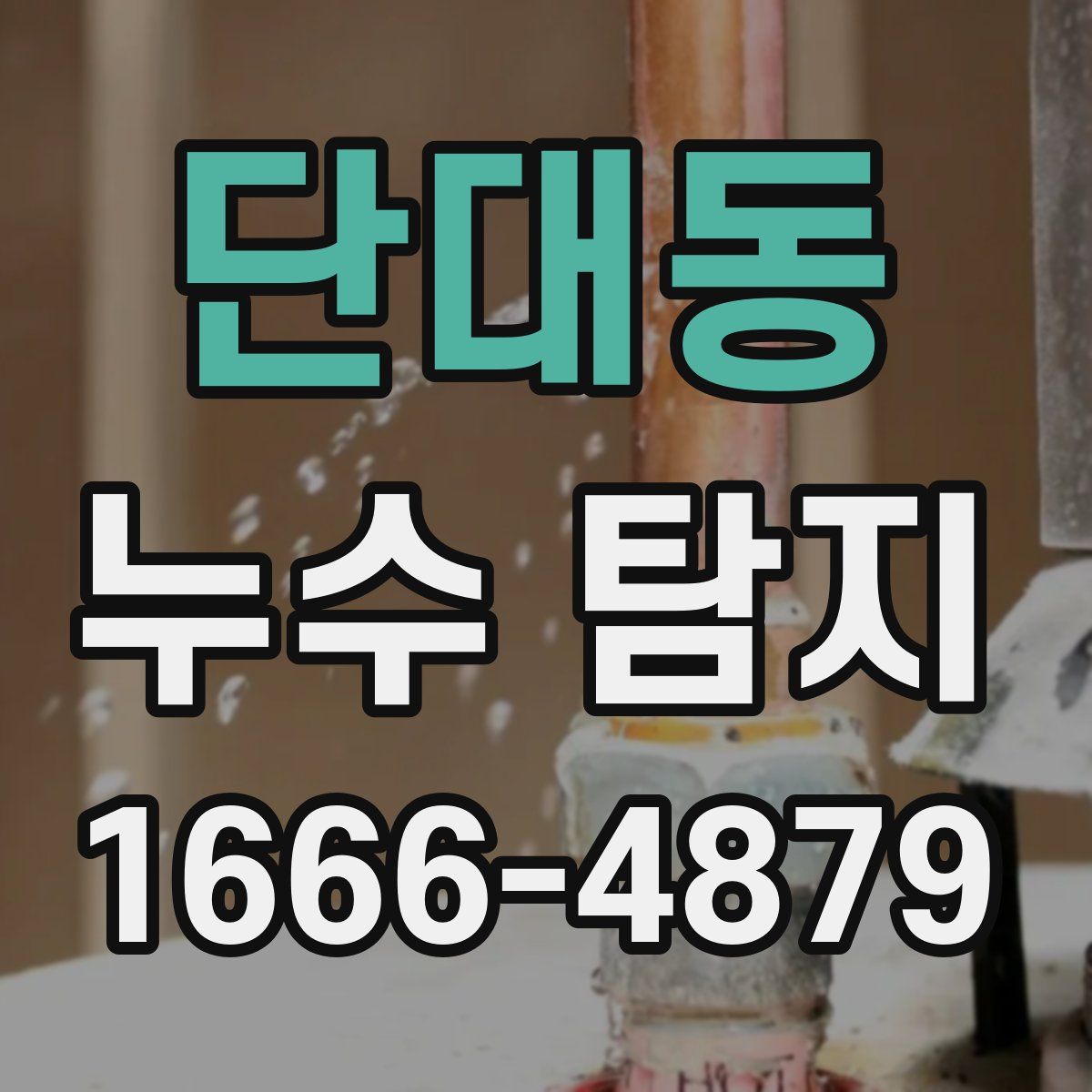 단대동 누수 탐지