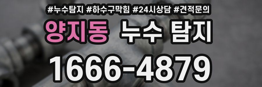 양지동 누수 탐지