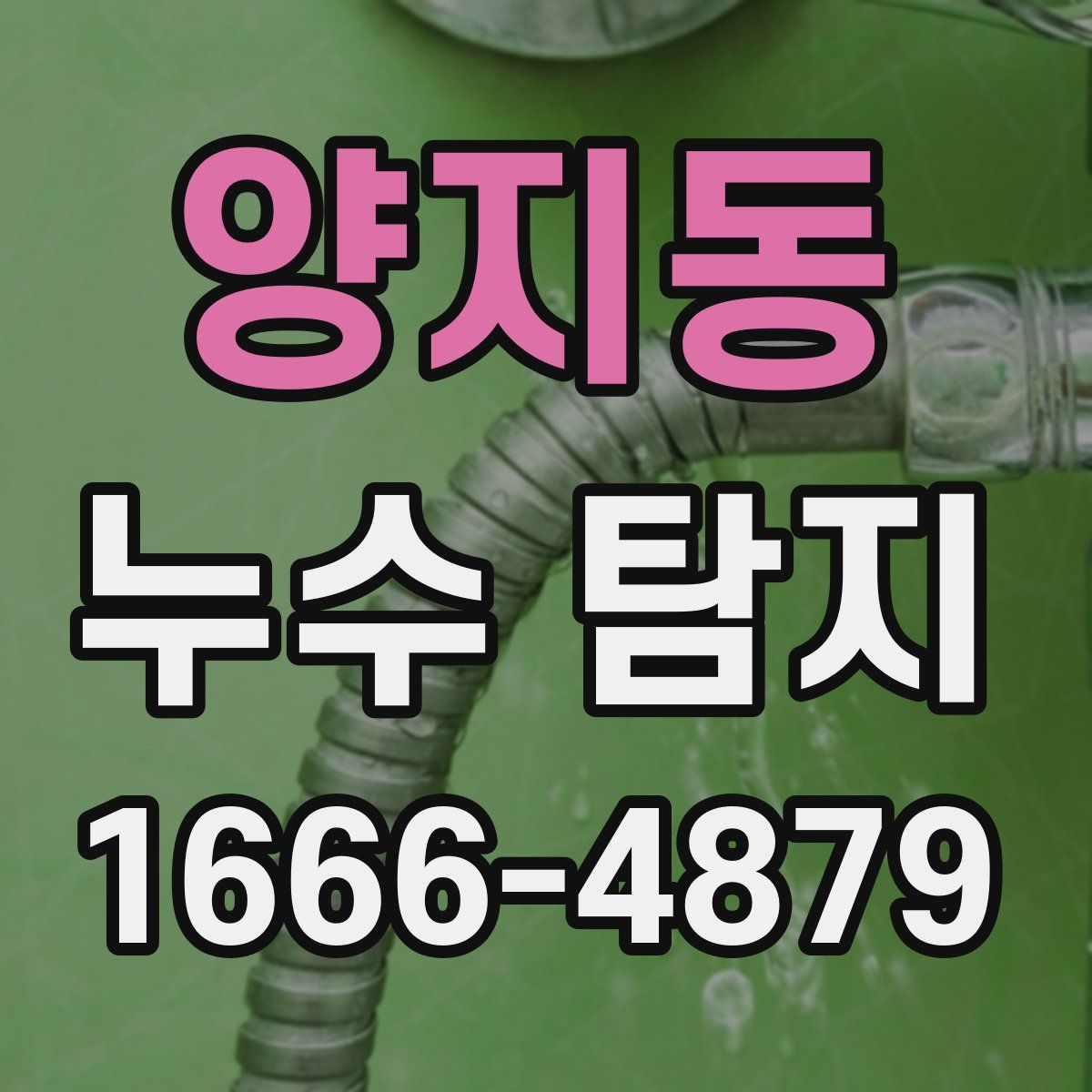 양지동 누수 탐지