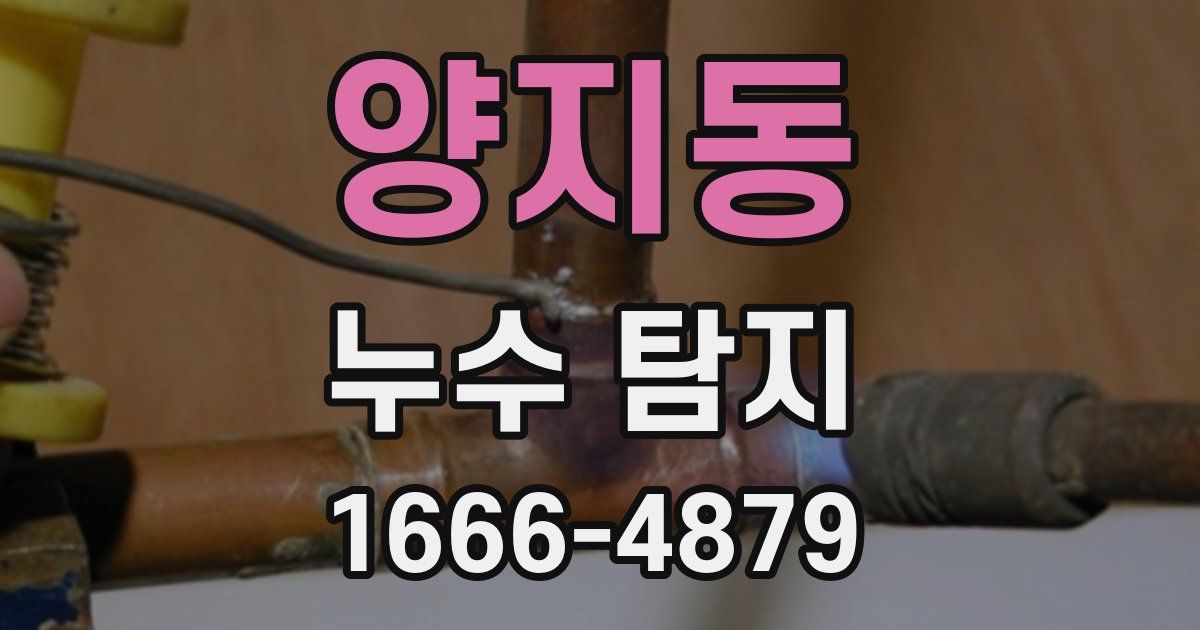 양지동 누수 탐지