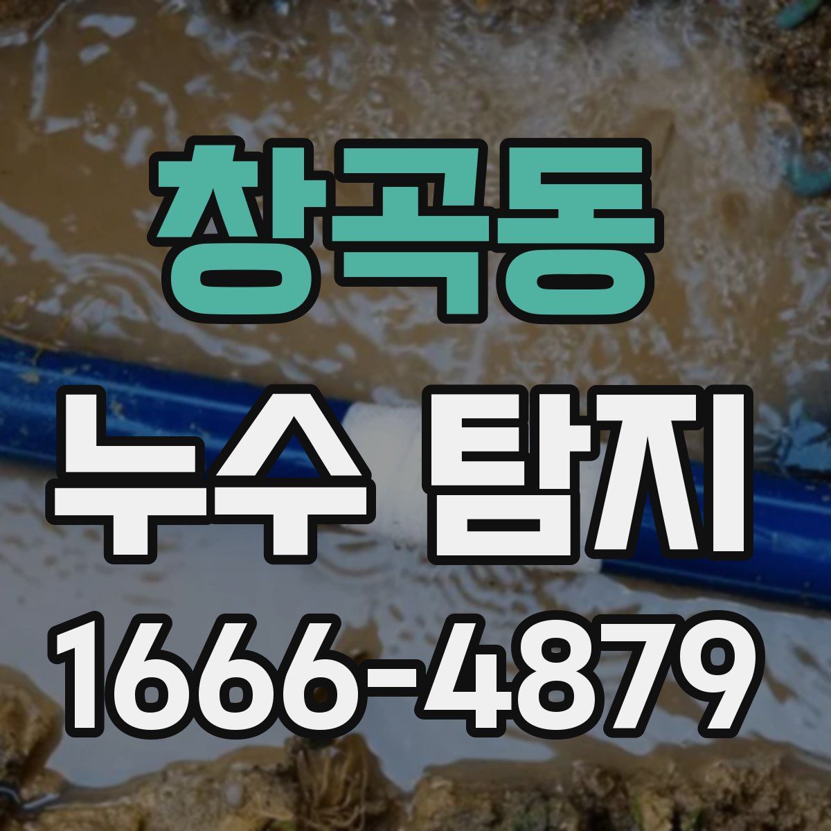 창곡동 누수 탐지