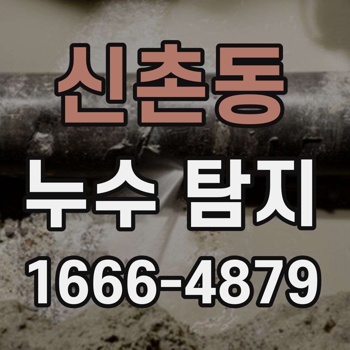 신촌동 누수 탐지