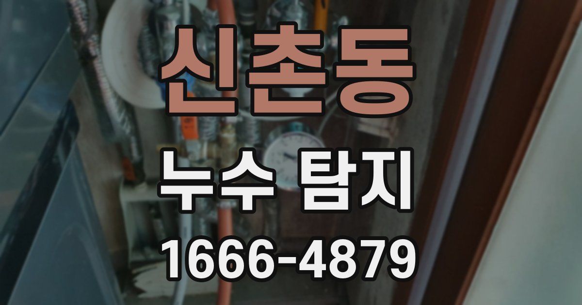 신촌동 누수 탐지