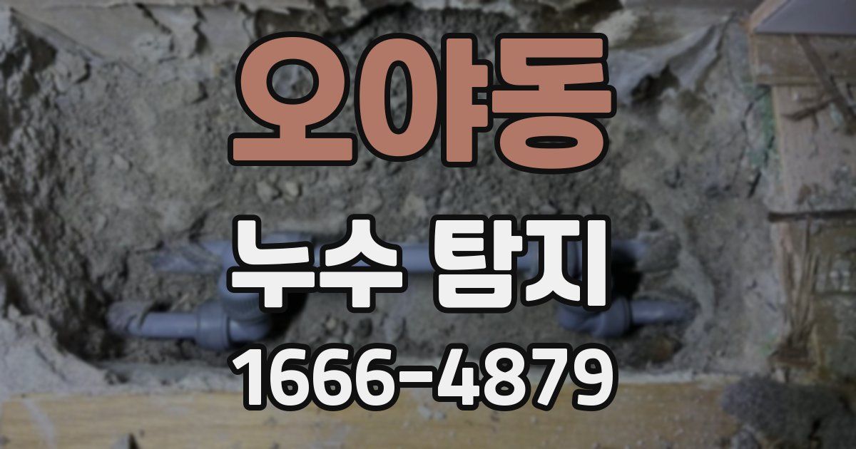 오야동 누수 탐지