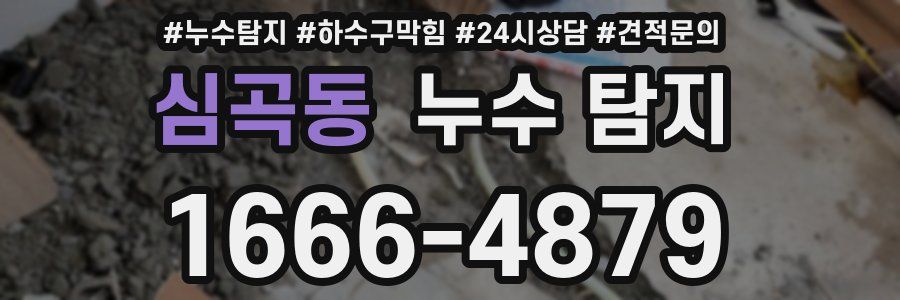 심곡동 누수 탐지
