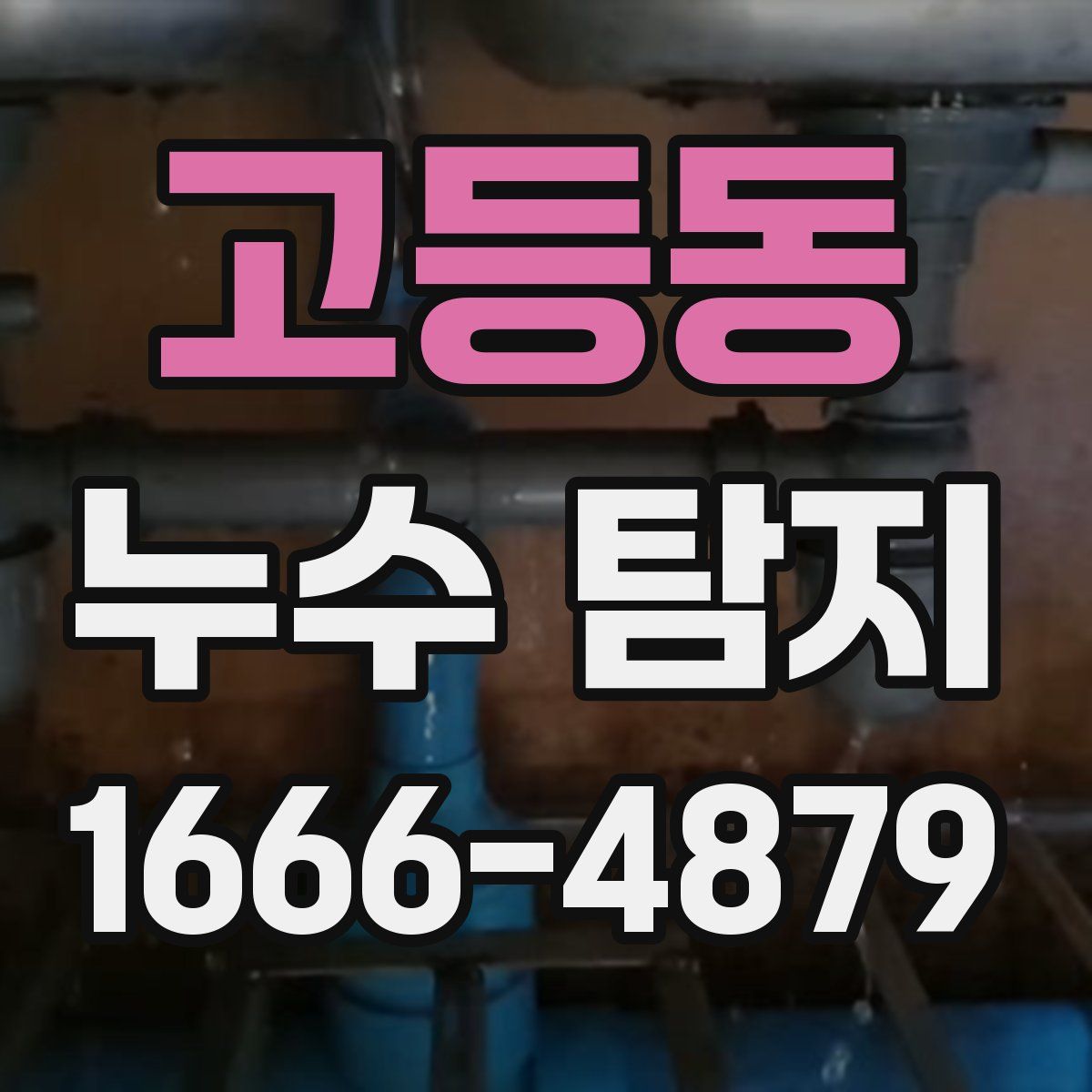 고등동 누수 탐지