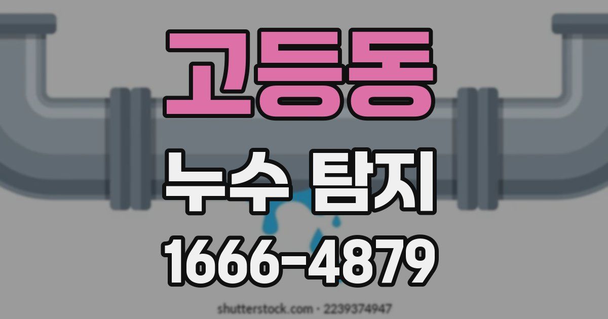 고등동 누수 탐지