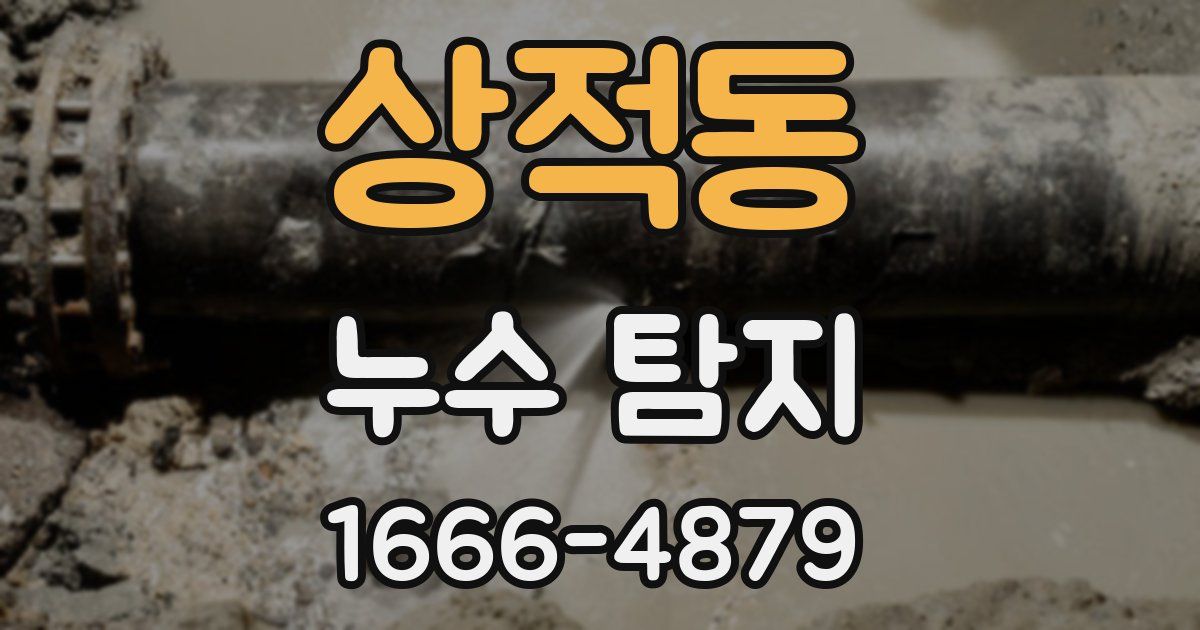상적동 누수 탐지