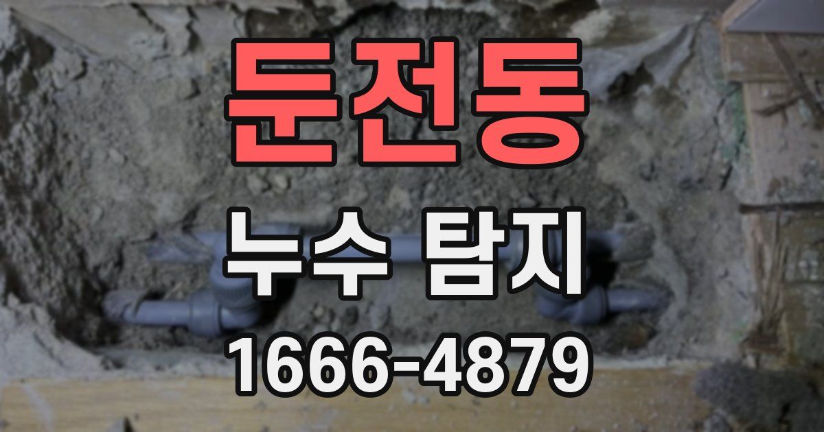 둔전동 누수 탐지