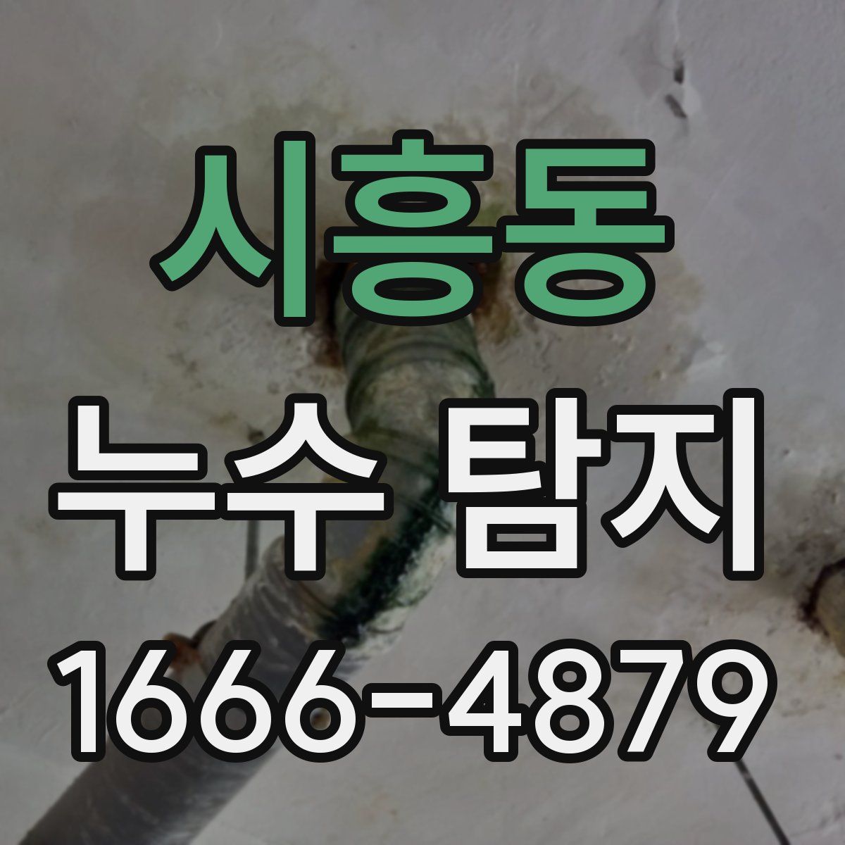 시흥동 누수 탐지
