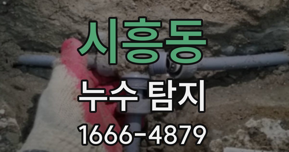 시흥동 누수 탐지