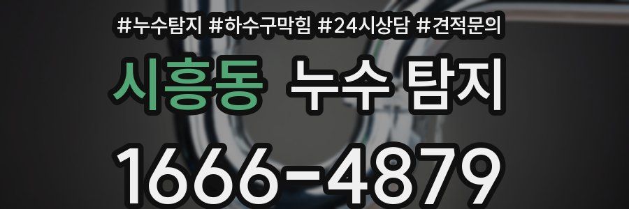 시흥동 누수 탐지