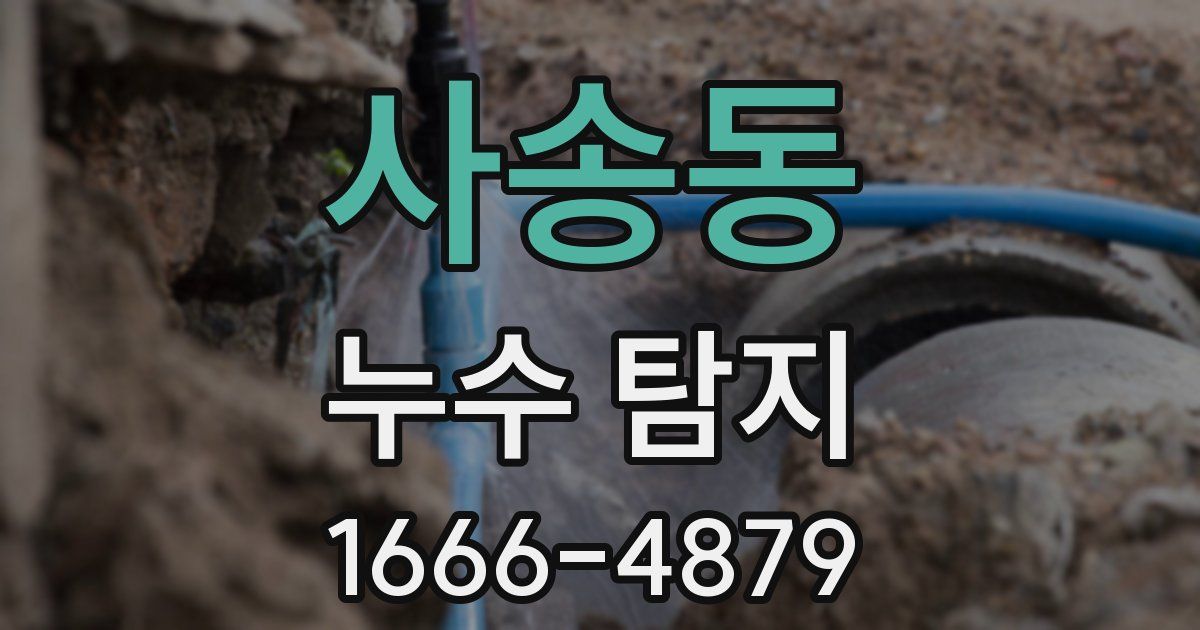 사송동 누수 탐지
