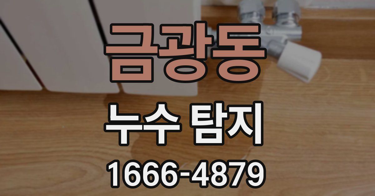 금광동 누수 탐지