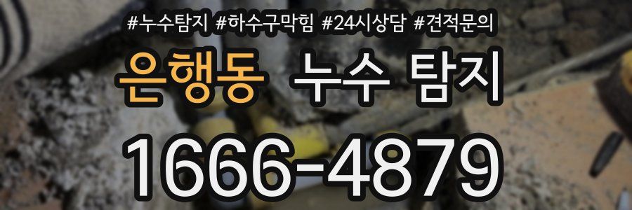 은행동 누수 탐지