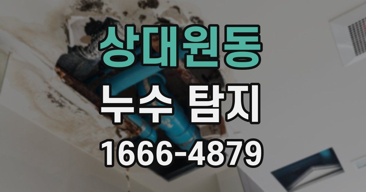 상대원동 누수 탐지