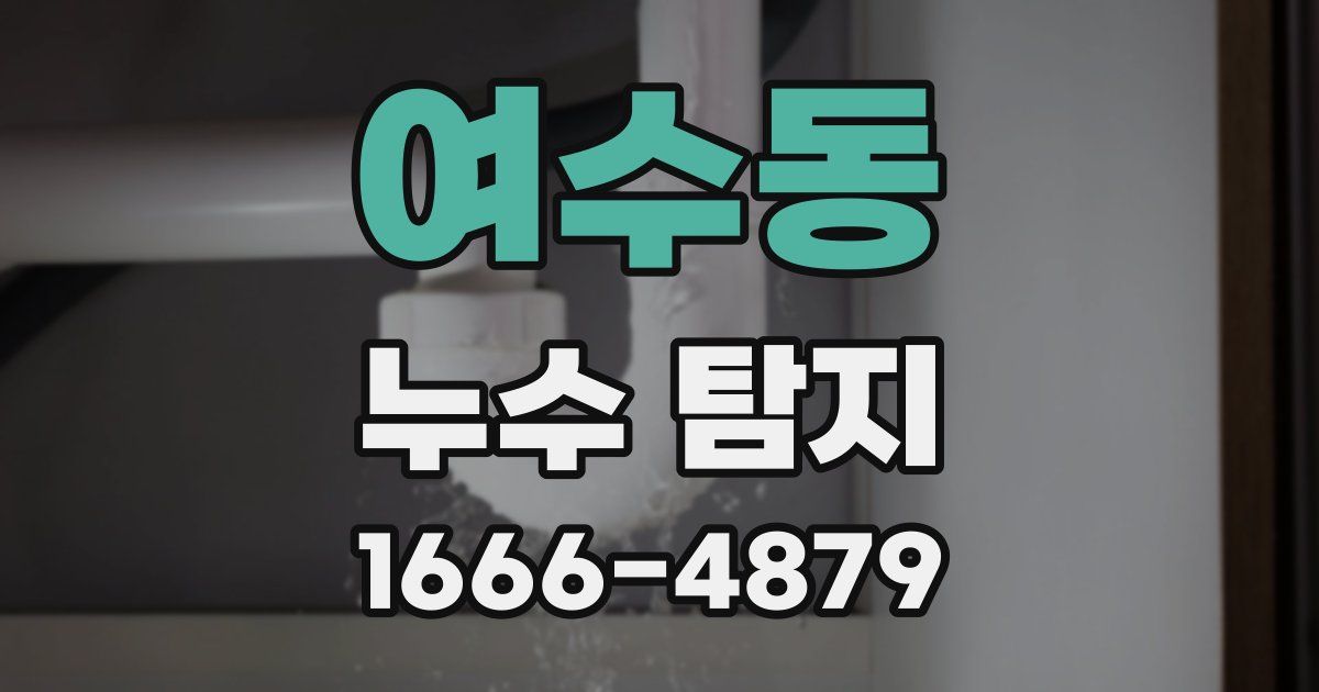여수동 누수 탐지