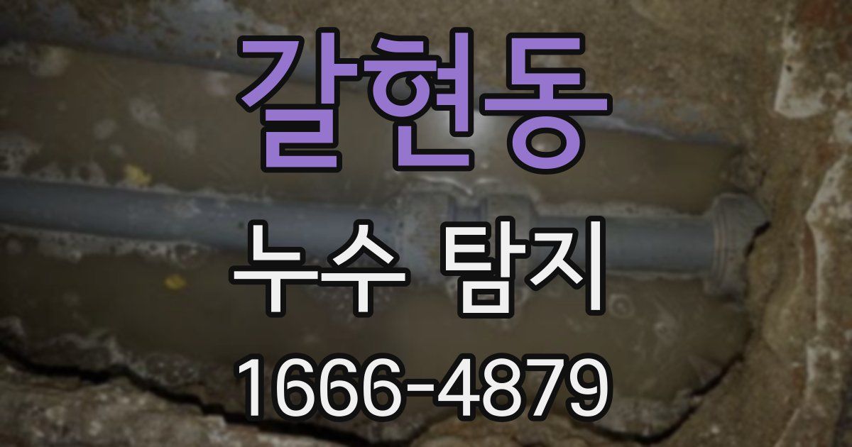갈현동 누수 탐지