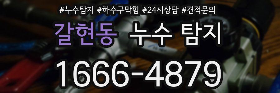 갈현동 누수 탐지