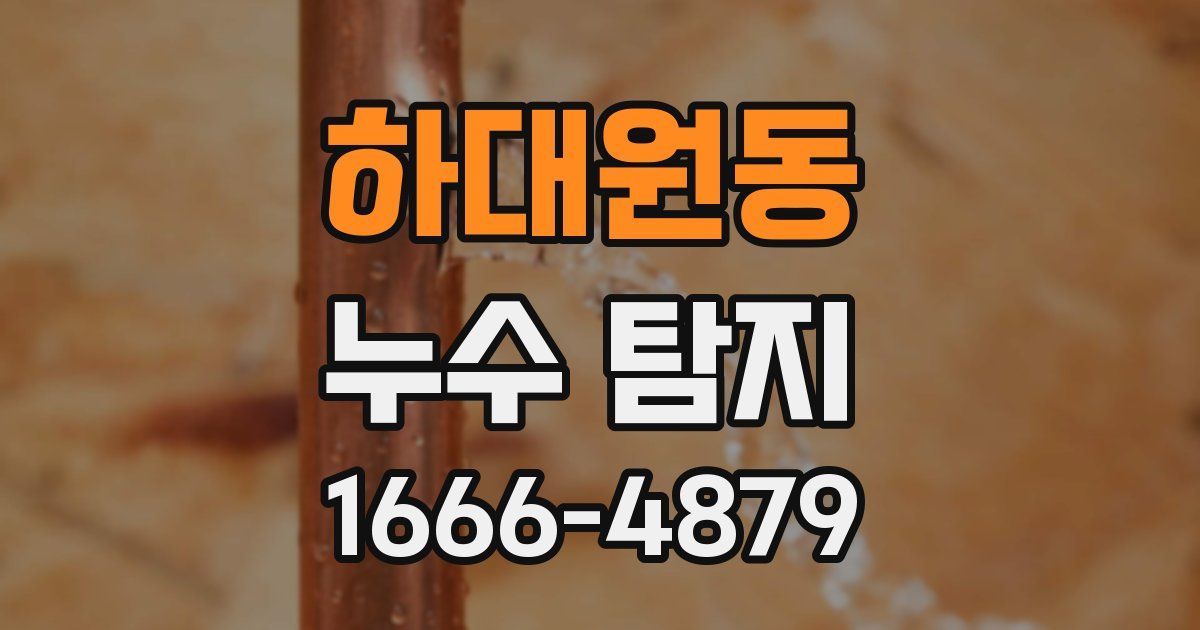 하대원동 누수 탐지