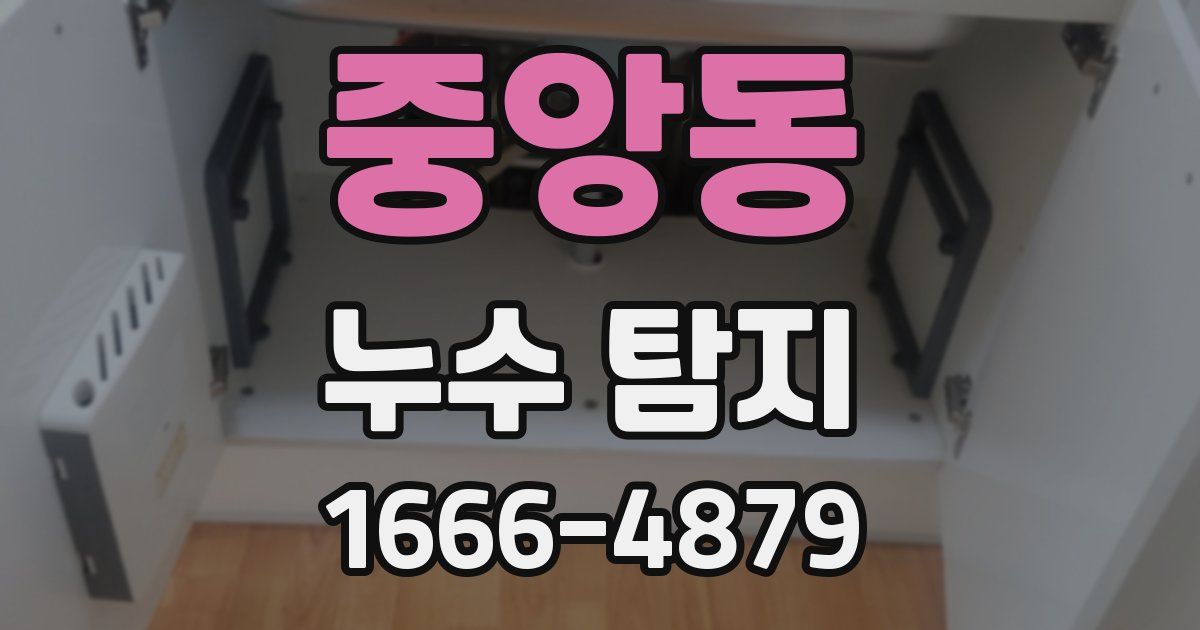 중앙동 누수 탐지