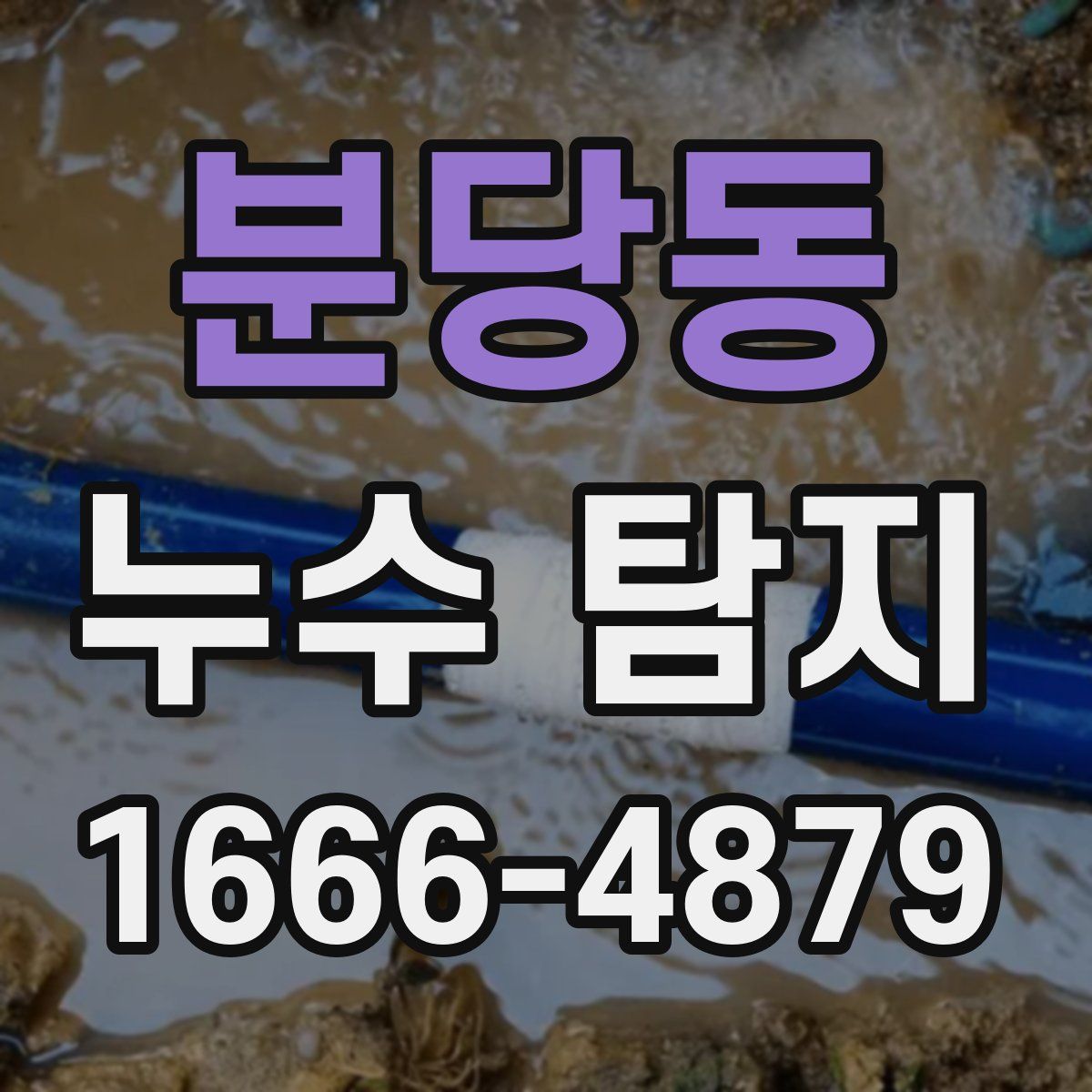분당동 누수 탐지