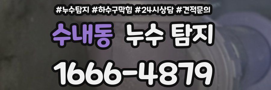수내동 누수 탐지