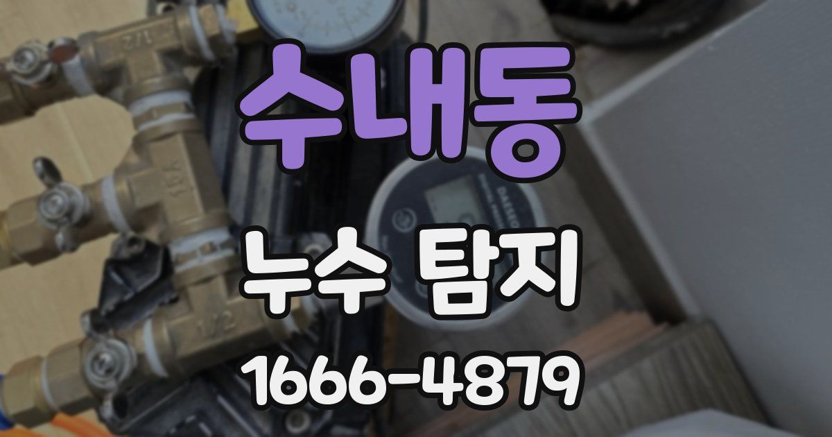 수내동 누수 탐지