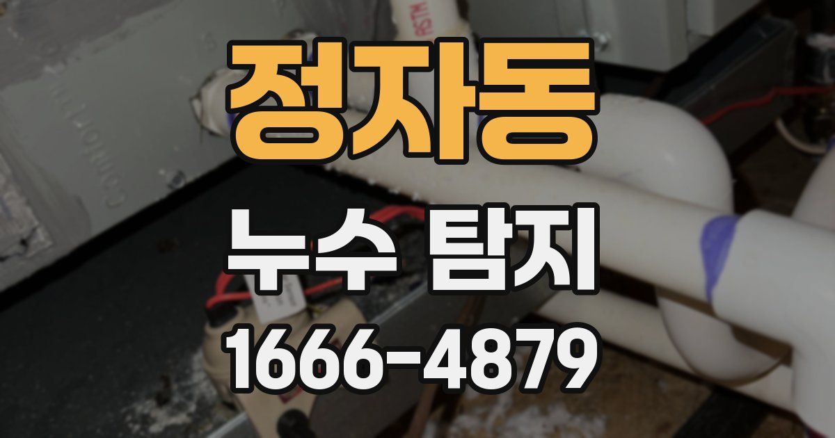 정자동 누수 탐지