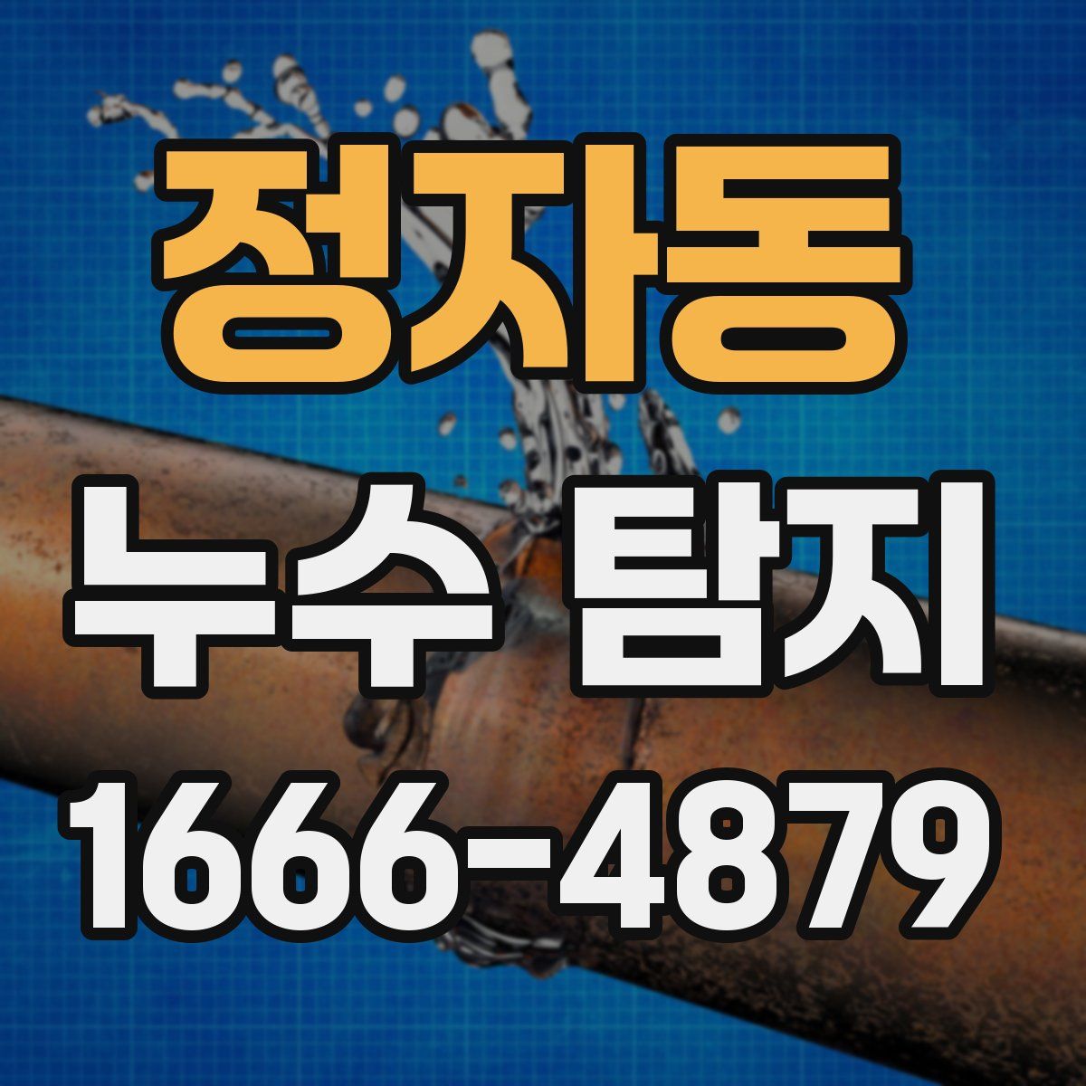 정자동 누수 탐지