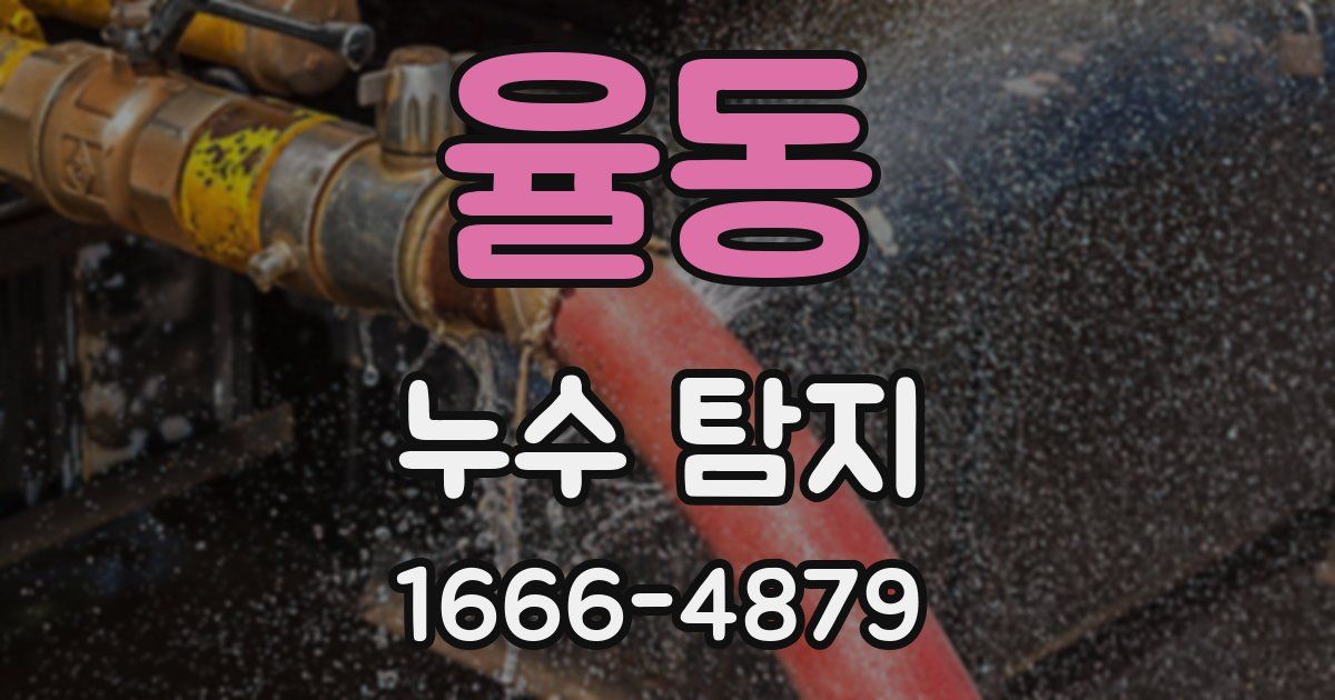 율동 누수 탐지