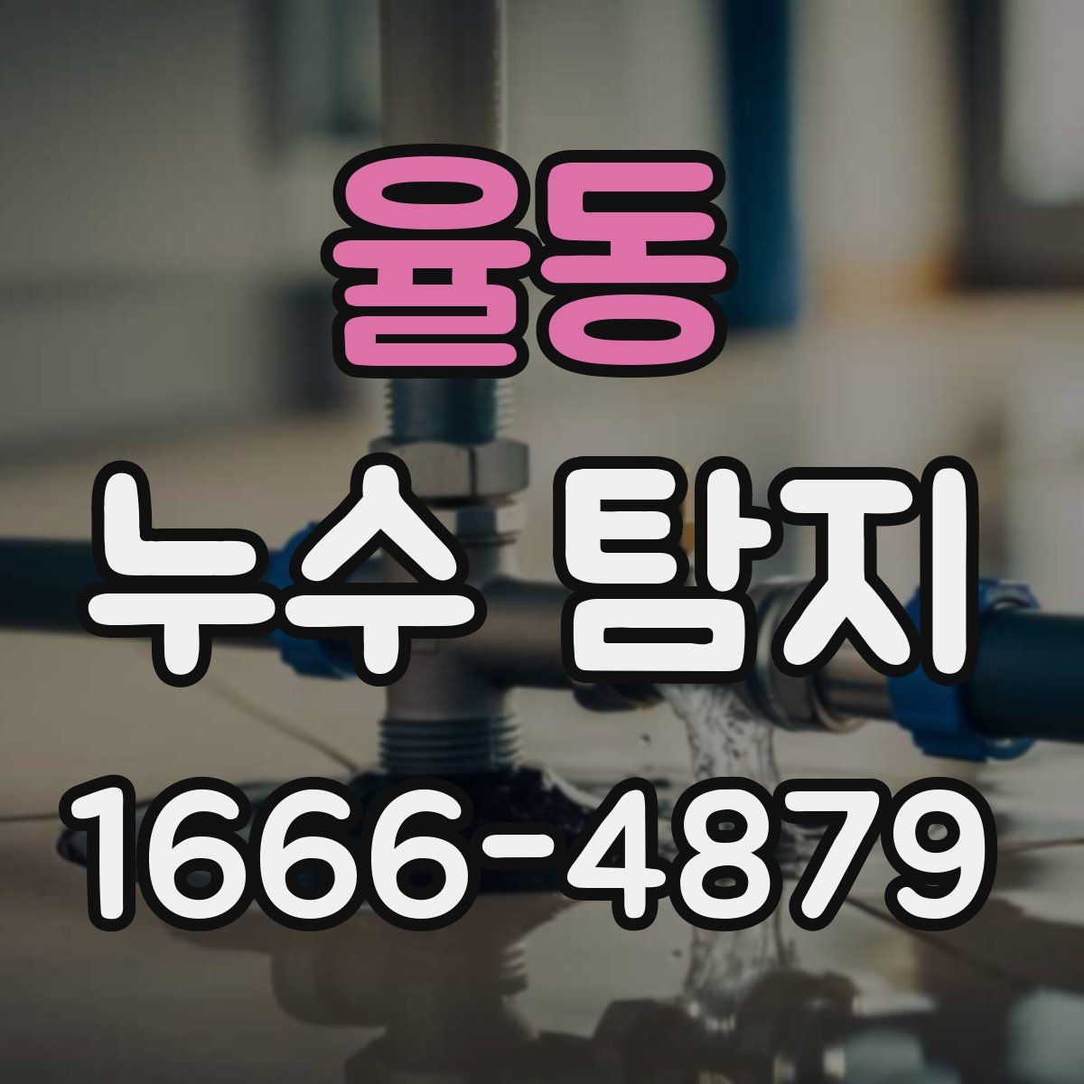율동 누수 탐지