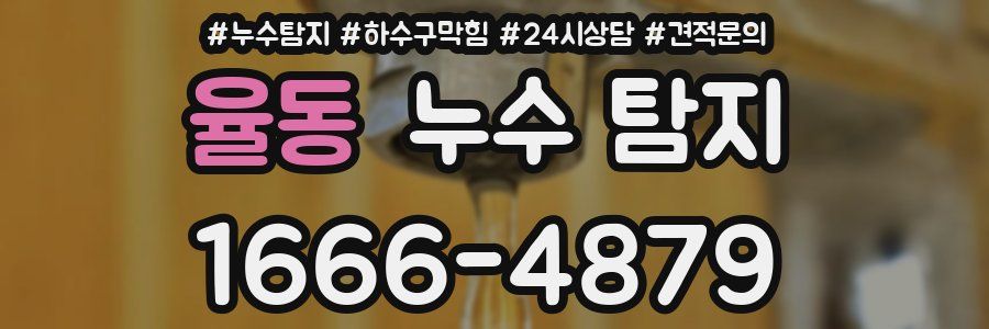 율동 누수 탐지