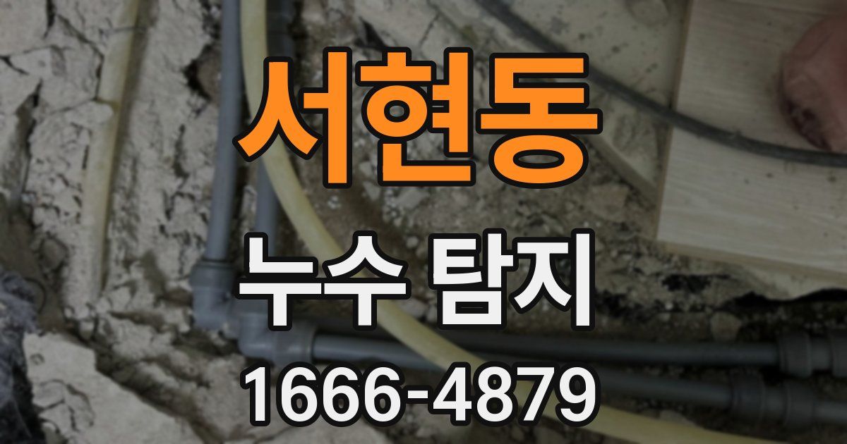 서현동 누수 탐지