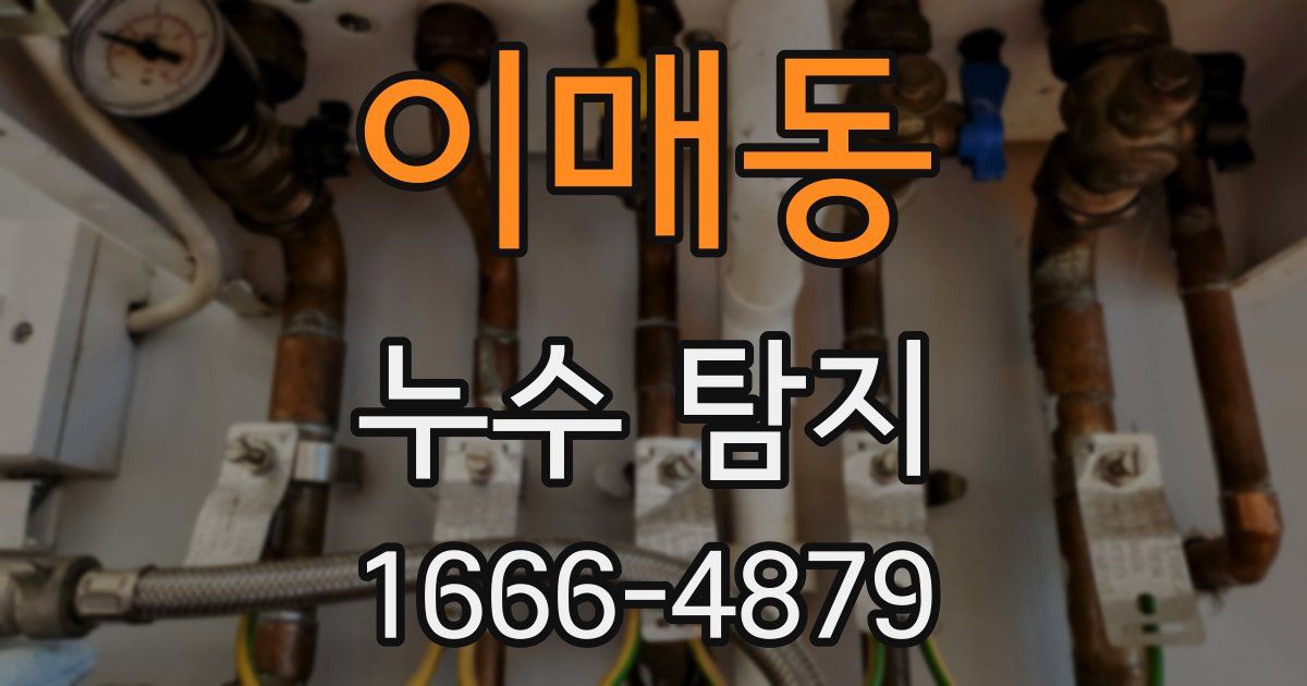 이매동 누수 탐지