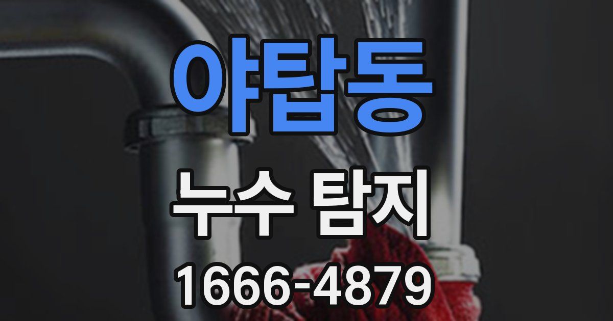 야탑동 누수 탐지