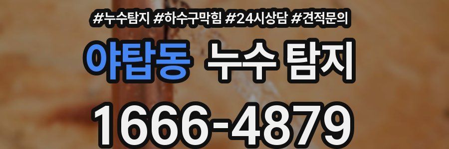 야탑동 누수 탐지