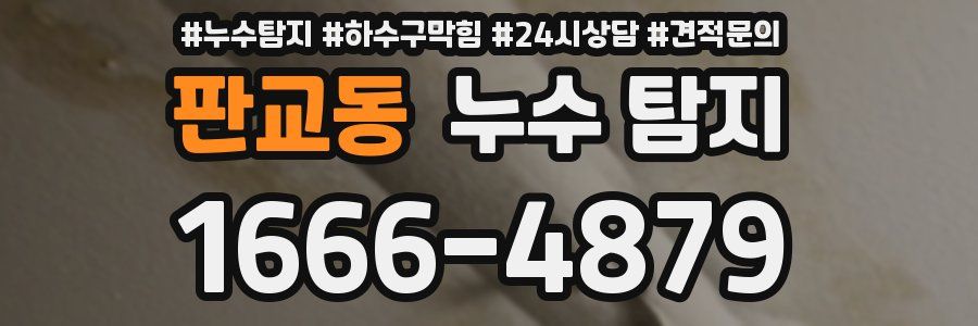 판교동 누수 탐지