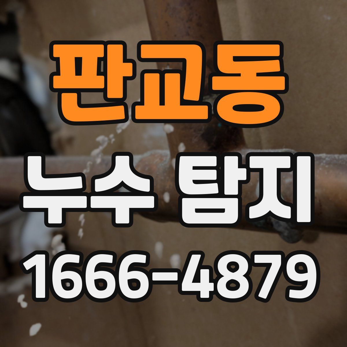 판교동 누수 탐지
