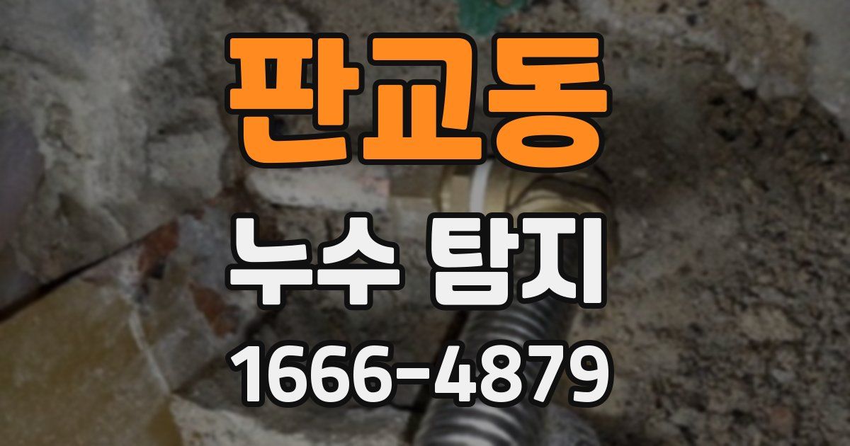 판교동 누수 탐지
