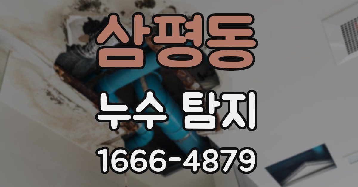 삼평동 누수 탐지