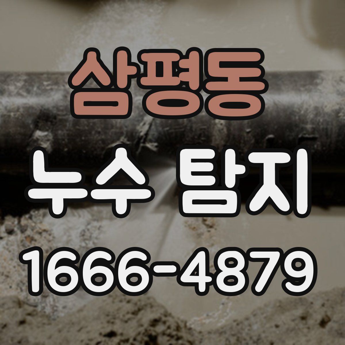 삼평동 누수 탐지