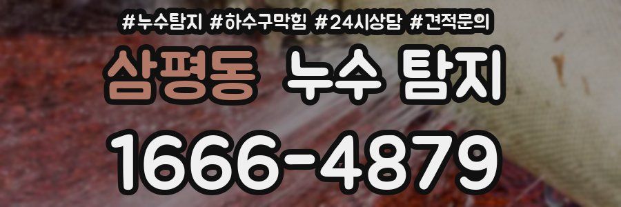 삼평동 누수 탐지