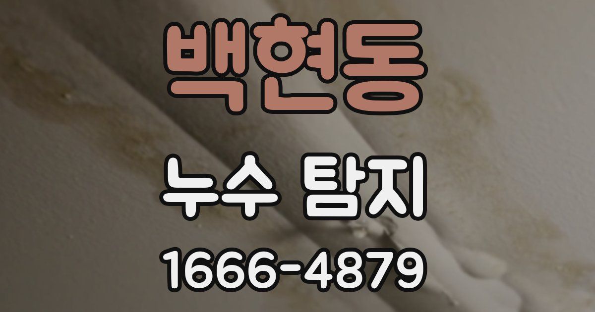 백현동 누수 탐지