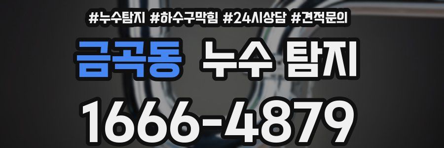 금곡동 누수 탐지