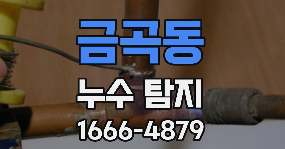 금곡동 누수 탐지