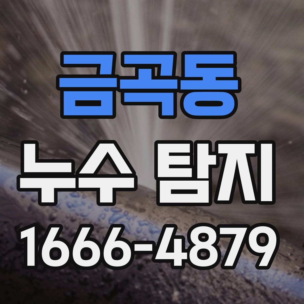 금곡동 누수 탐지