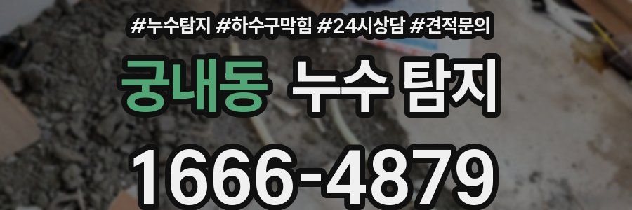 궁내동 누수 탐지