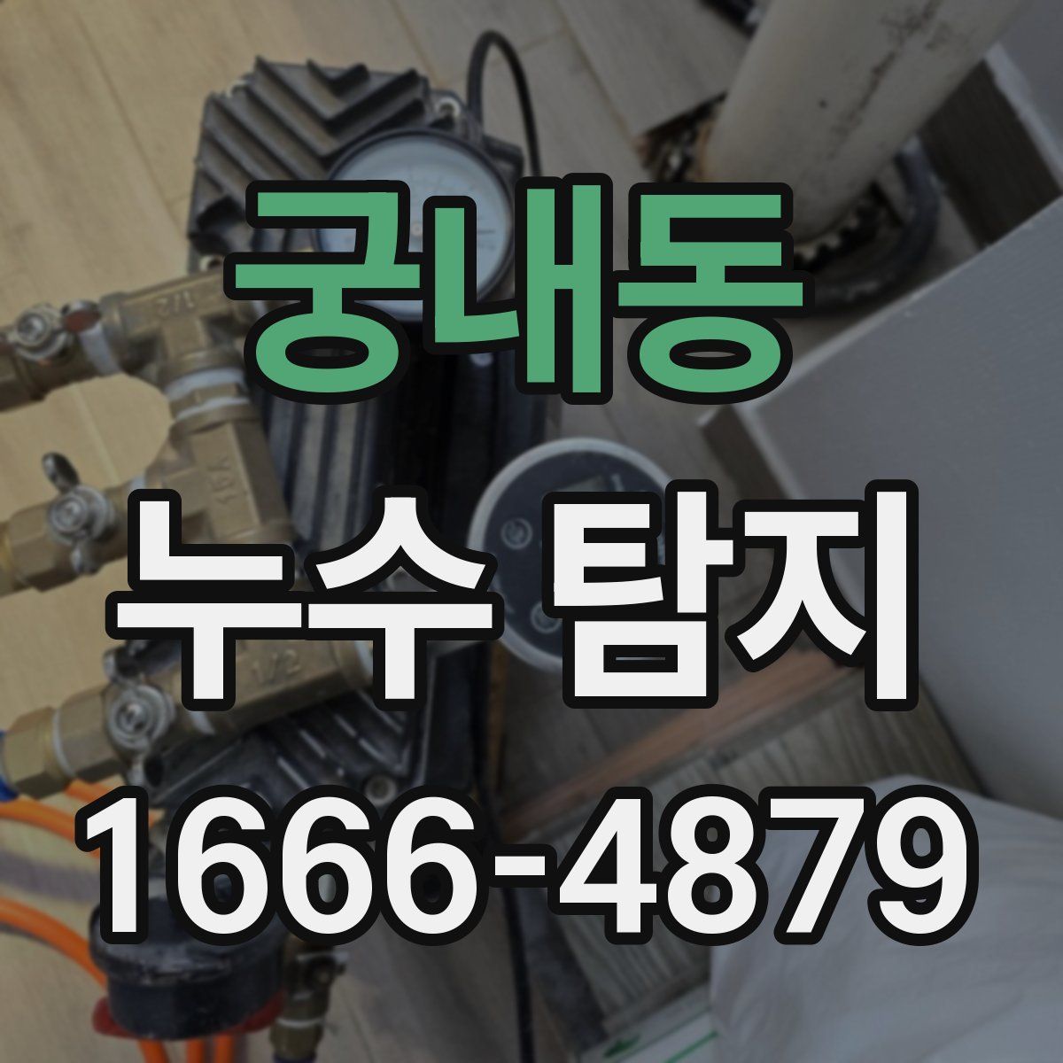 궁내동 누수 탐지