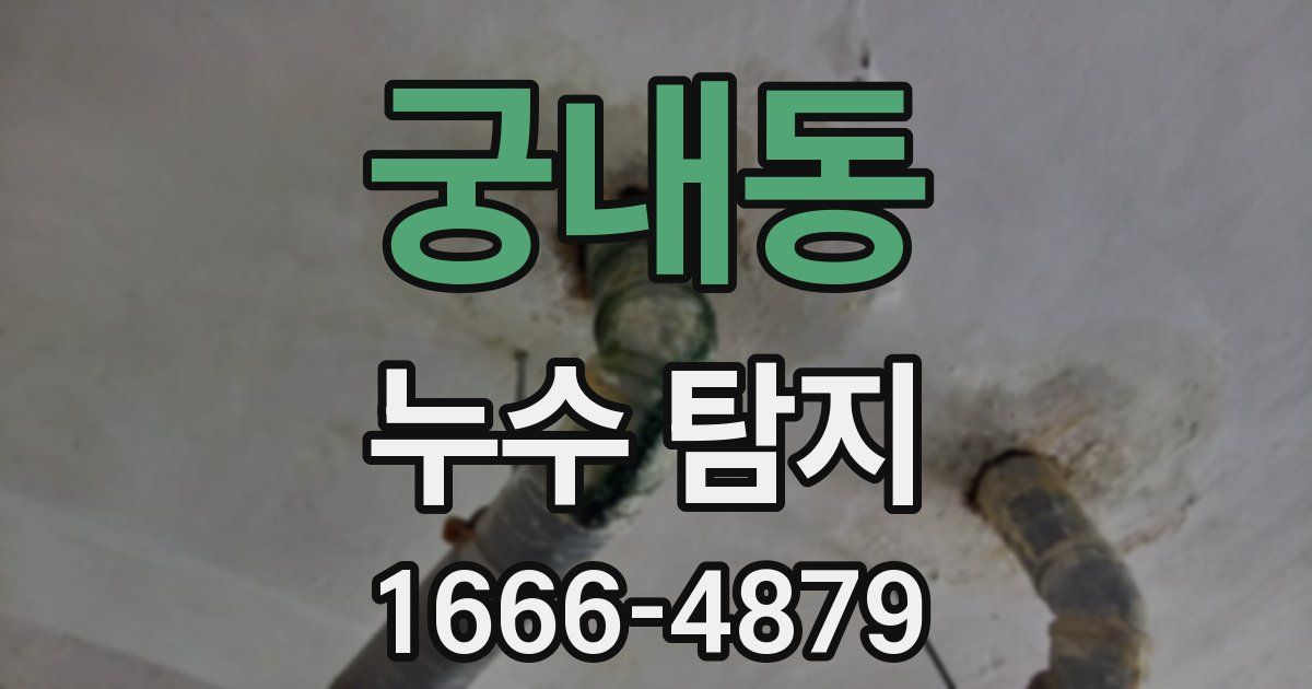 궁내동 누수 탐지